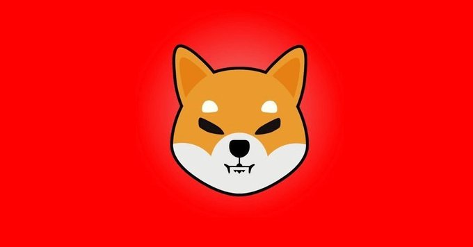 An illustration of a stylized orange and white Shiba Inu dog head on a red background.