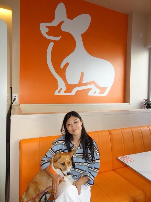 A young woman poses with a corgi on an orange bench beneath a large orange wall featuring a white corgi logo, in what appears to be the Corgi coffee shop where she completed her internship before moving on to a full-time marketing role.