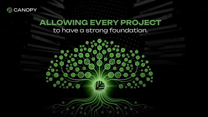 A dark graphic for Canopy displaying a green stylized tree made of interconnected logos with the tagline 'ALLOWING EVERY PROJECT to have a strong foundation.'