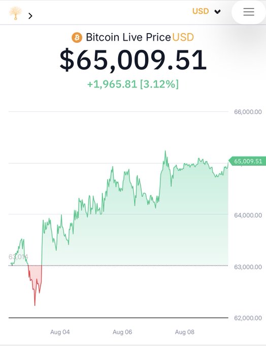 Bitcoin's price surges to $65,009.51, up $1,965.81 (3.12%) over the period shown, visually reinforcing the post's message about an emerging bull market and urging investors to consider whether they positioned themselves aggressively enough during the rally from the $63,016 starting point.