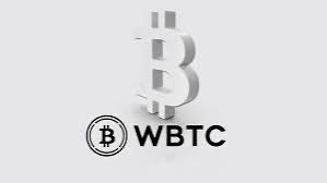 A 3D-rendered Bitcoin symbol with the text 'WBTC' is displayed on a light gray background.