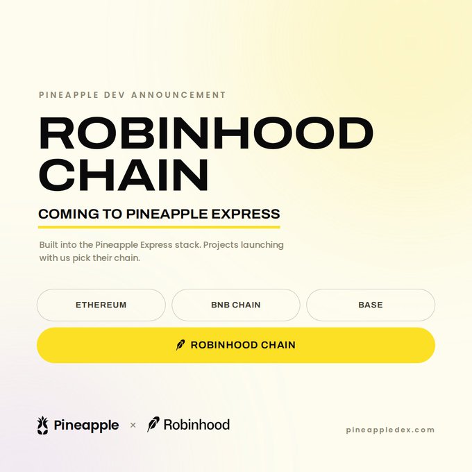 Announcement graphic from Pineapple Dev titled "ROBINHOOD CHAIN COMING TO PINEAPPLE EXPRESS," highlighting four blockchain options: Ethereum, BNB Chain, Base, and Robinhood Chain.