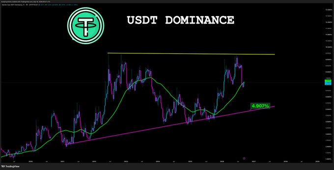 A financial chart titled 'USDT DOMINANCE' showing candlestick price movements with trend lines and a 4.007% indicator.