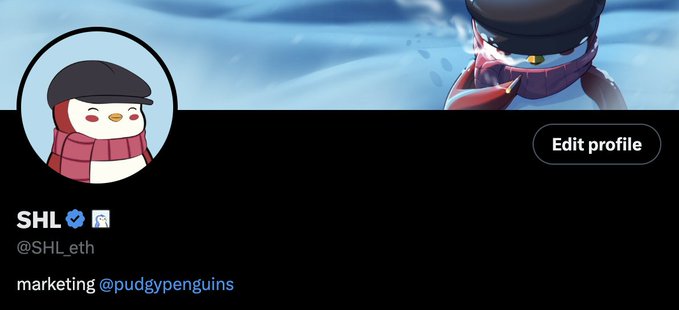 Twitter/X profile of 'SHL' (@SHL_eth) with a penguin avatar, banner artwork, and bio stating 'marketing @pudgypenguins' alongside an Edit profile button.