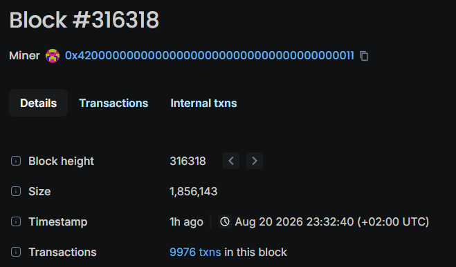 A dark-themed blockchain explorer page displays information for Block #316318, showing 9,976 transactions, a size of 1,856,143, and a timestamp of August 20, 2026.