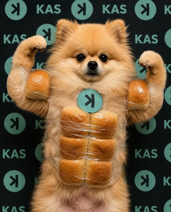 A fluffy Pomeranian flexes its muscles while wearing a vest made of wrapped bread rolls, with a "K" symbol badge on its chest, set against a backdrop repeating the "KAS" logo. The image humorously reinforces the post's message about $KAS's strength, stability above $0.024, and growing institutional interest, depicting the token as a buff, resilient contender on its path toward a $1B market cap.