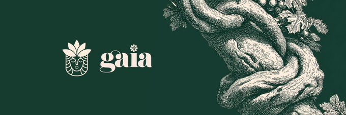The image displays the "gaia" logo, featuring a stylized illustration of a bearded figure with a leafy crown beside the wordmark, set against a dark green background. The post humorously references putting 1500U into the Gaia auction platform on the Robin chain, comparing it to MetaDAO and Umia projects.