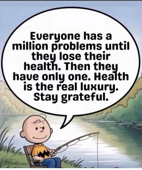 A Charlie Brown comic panel showing the character fishing by a river, with a speech bubble reading: 'Everyone has a million problems until they lose their health. Then they have only one. Health is the real luxury. Stay grateful.'