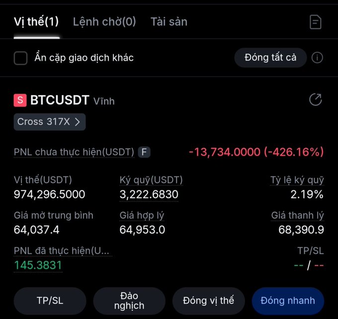 The image shows a cryptocurrency futures trading position for BTCUSDT in "Vĩnh cửu" (Perpetual) mode with Cross 317X leverage, displaying significant losses. The unrealized PNL shows -13,734.0000 USDT (-426.16%) with a margin ratio of 2.19%, illustrating the poster's lament about losing money on futures trading despite trying to make a profit on X (Twitter).