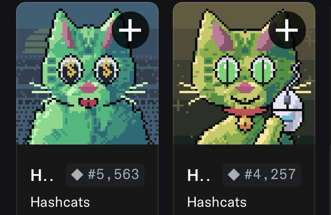 Two pixel art 'Hashcats' NFTs are displayed side by side, priced at #5,563 and #4,257 respectively, both featuring green cats with '$' symbols in their eyes.