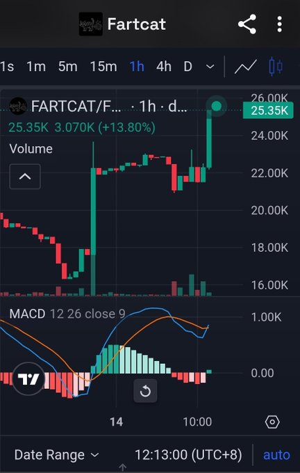 A financial chart titled "Fartcat" shows a 1-hour candlestick graph displaying FARTCAT/F at 25.35K with a 13.80% increase, including a MACD indicator below.