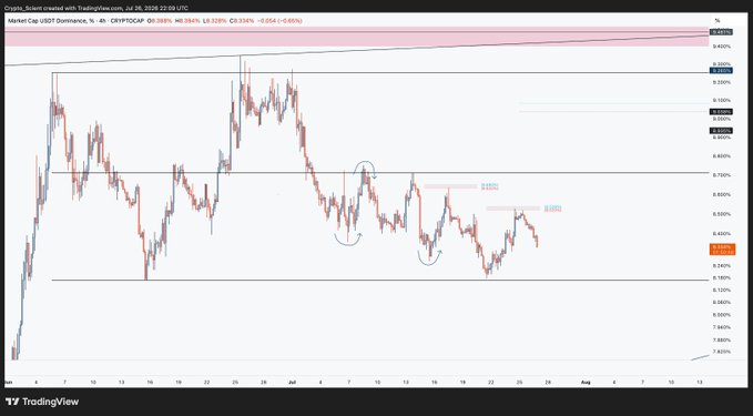 This 4-hour chart shows the USDT Dominance market cap, with price action indicating a potential full retrace to the 8.17% low.