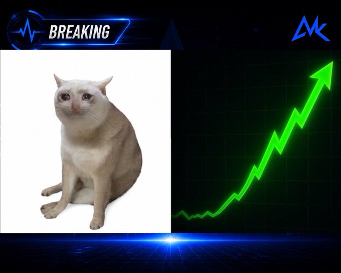 A 'BREAKING' news graphic shows a photograph of a cat with a mischievous expression next to a green line graph with an upward-pointing arrow on a dark grid background.
