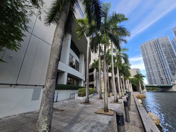 A waterfront view shows tall palm trees lining a concrete walkway beside modern buildings and high-rise towers under a blue sky.