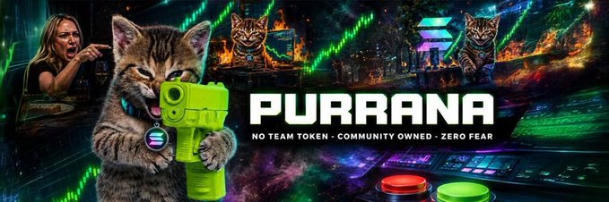 A promotional banner for "PURRANA" featuring a fierce-looking tabby kitten holding a bright green toy gun alongside a Solana logo, with the tagline "NO TEAM TOKEN - COMMUNITY OWNED - ZERO FEAR" set against a fiery DJ/rave backdrop. The image directly supports the giveaway post, branding the $30 USDC giveaway on Solana for followers of @purranapurr.