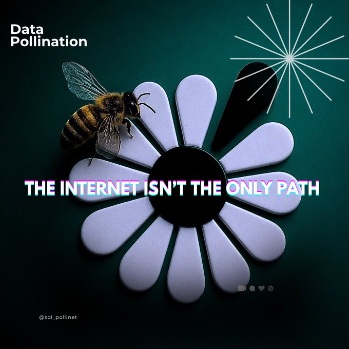 The image features a honeybee sitting next to a white flower with black spots, surrounded by text that reads "The Internet isn't the only path" and includes a social media handle "@solarpollinet". The background of the image is green, which contrasts with the white elements in the scene.