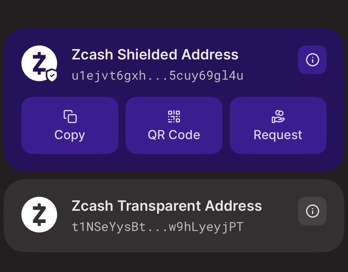 A screenshot of cryptocurrency wallet addresses showing a 'Zcash Shielded Address' (u1ejvt6gxh...5cuy69gl4u) with Copy, QR Code, and Request buttons, and a 'Zcash Transparent Address' (t1NSeYysBt...w9hLyeyjPT) below.
