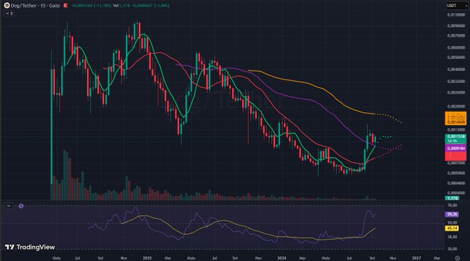 A TradingView financial chart displaying a DOGE/USDT price graph with red and green candlesticks, moving averages, and a volume/oscillator indicator at the bottom.