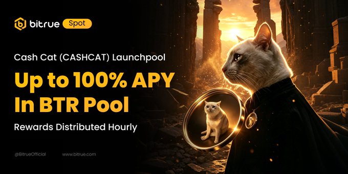 A Bitrue promotional banner featuring a regal cat character announces the "Cash Cat (CASHCAT) Launchpool" with up to 100% APY in the BTR Pool and hourly reward distribution. The dramatic, throne-like imagery visually reinforces the post's message of $BTR holders gaining exclusive, elevated access to earn trending new tokens like $CASHCAT through staking.