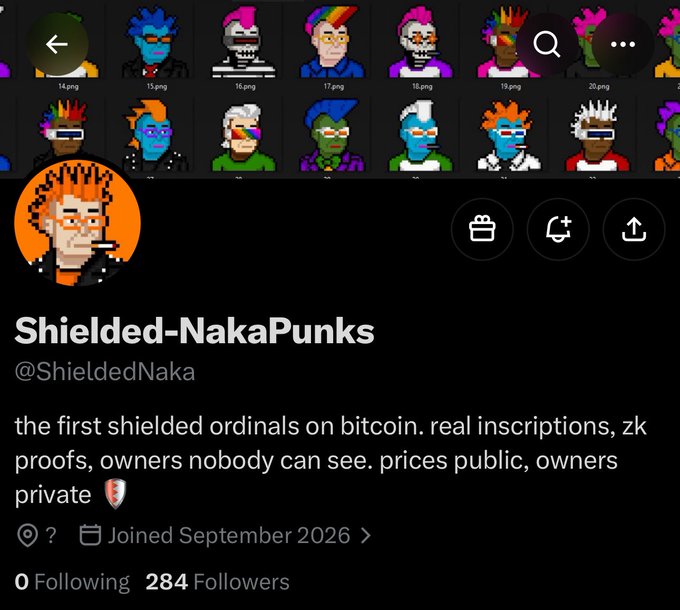 A Twitter profile for 'Shielded-NakaPunks' (@ShieldedNaka) describes itself as 'the first shielded ordinals on bitcoin' featuring zero-knowledge proofs, with 284 followers and a colorful grid of punk avatars in the banner.