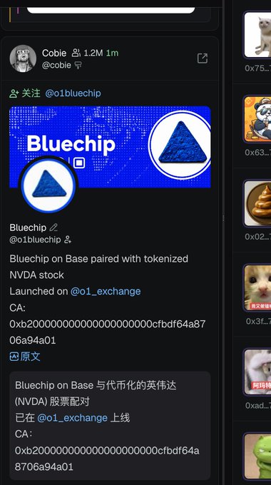 A tweet from Cobie (@cobie) announcing that Bluechip ($1bluechip), the first tokenized NVDA (Nvidia) stock, has launched on Base via @o1_exchange, with contract address 0xb200000000000000000000cfbdf64a8706a94a01. The image supports the post's hint about the first coin-stock launching on Base, as Bluechip represents this pioneering tokenized stock pairing on the Base blockchain.