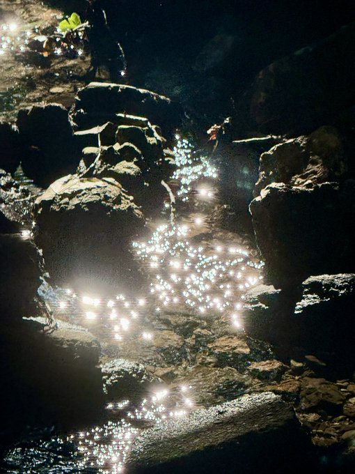 A dark, atmospheric image of water flowing over rocks, with sunlight reflecting off the wet surfaces creating sparkling highlights.