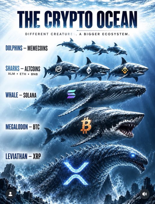 An infographic titled 'THE CRYPTO OCEAN' depicting a hierarchy of cryptocurrencies as sea creatures: Dolphins (Memecoins), Sharks (XLM, ETH, BNB), Whale (Solana), Megalodon (BTC), and Leviathan (XRP).