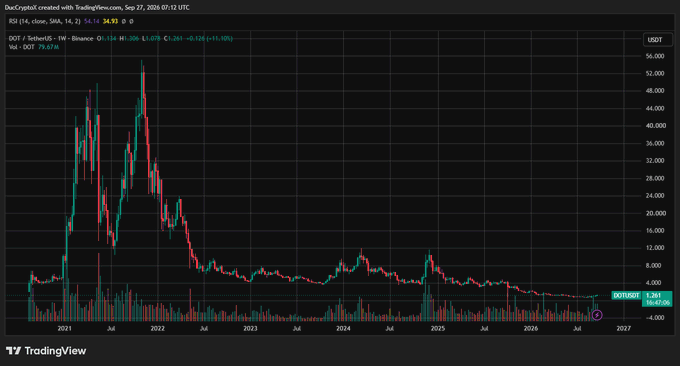 A TradingView candlestick chart of the DOT/TetherUS pair on Binance showing a dramatic price decline from around 55,000 in 2021 down to approximately 4 USDT in 2024.