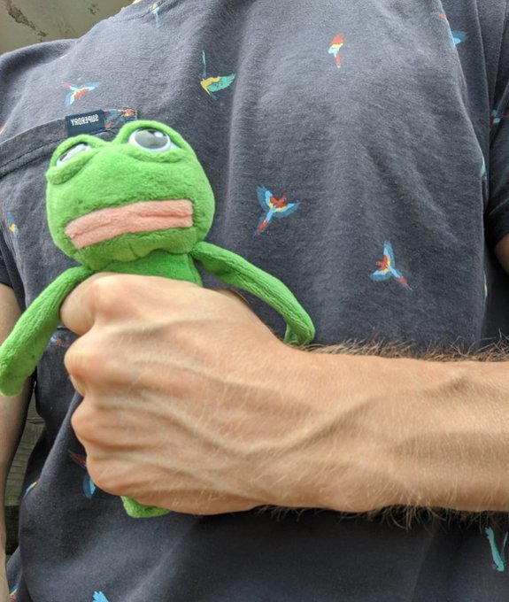 A hand holds up a Kermit the Frog plush toy against a dark gray t-shirt patterned with flying birds.