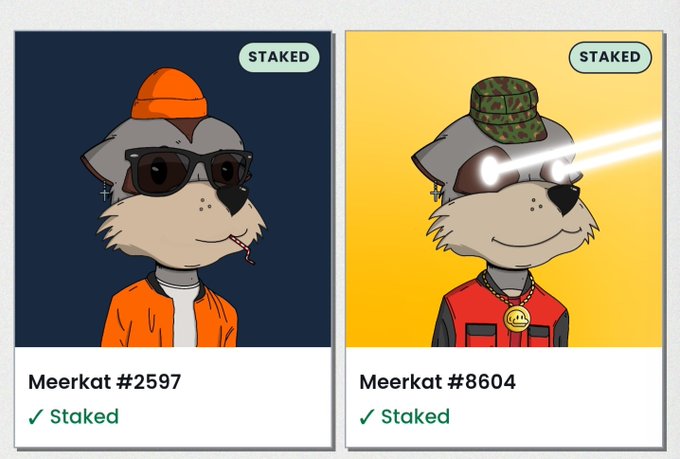 Two digital NFT-style collectible cards featuring cartoon meerkat characters, both labeled 'STAKED' - Meerkat #2597 wearing sunglasses and a beanie, and Meerkat #8604 with laser eyes and a camo bucket hat.