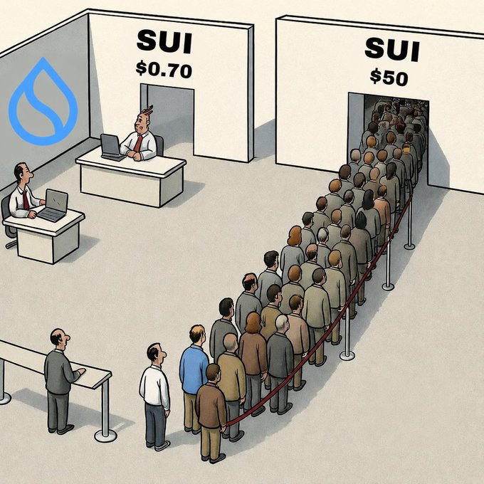 The image shows a cartoon depicting two doors labeled "SUI $0.70" (with no line) and "SUI $50" (with a massive crowd queued up), symbolizing how other chains like BNB, ETH, SOL, and HYPE have already experienced dramatic price surges, suggesting SUI is next in line.