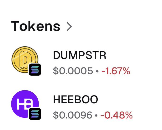 A crypto portfolio screenshot displays two Solana tokens: DUMPSTR ($DUMP) at $0.00005 (-1.67%) and HEEBOO at $0.00096 (-0.48%). Both meme tokens show minor daily declines, aligning with the poster's long-term conviction plays on Solana.
