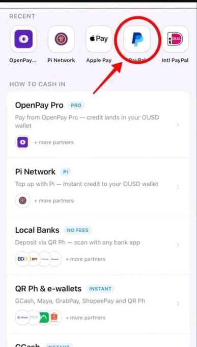 The image shows a mobile app's payment/cash-in screen featuring payment options including OpenPay, Pi Network, Apple Pay, PayPal, and Intl PayPal, with a red circle and arrow highlighting the PayPal option. The "How to Cash In" section lists methods like OpenPay Pro, Pi Network (via Pi), Local Banks, and QR Ph & e-wallets. Notably, the PayPal icon appears to be displayed in place of where a PayPal logo would normally be, possibly indicating a restriction or issue with using PayPal as a payment method for cashing in to OUSD or Pi-related transactions.