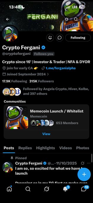 A Twitter/X profile page for 'Crypto Fergani' (@cryptofergani), a crypto investor/trader NFT community with a Pepe the Frog astronaut profile picture and '67/h' rate.