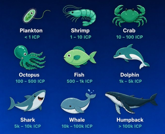 An infographic with a blue background displays nine sea creatures with increasing 'ICP' values, from 'Plankton < 1 ICP' and 'Shrimp 1 - 10 ICP' up to 'Humpback > 100k ICP'.