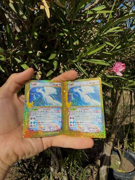 A hand holds two holographic Pokémon trading cards featuring Articuno, photographed outdoors against a background of green foliage and pink flowers.