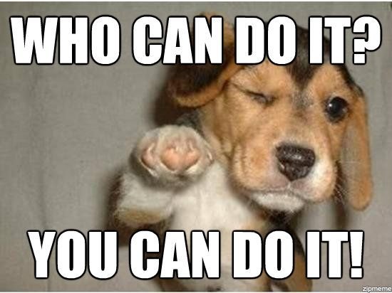 A motivational meme shows a beagle puppy raising its paw with the text 'WHO CAN DO IT?' at the top and 'YOU CAN DO IT!' at the bottom.