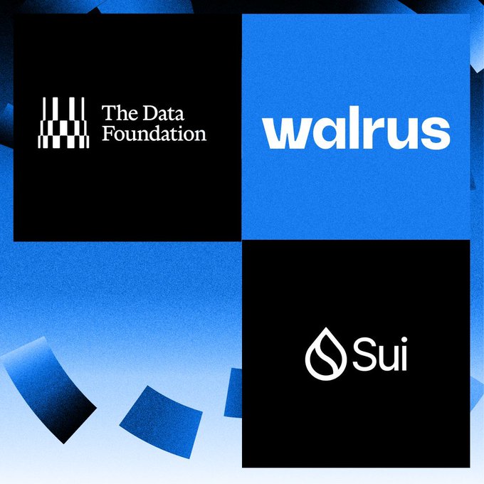 A blue and black branded graphic displaying logos for 'The Data Foundation,' 'walrus,' and 'Sui.'