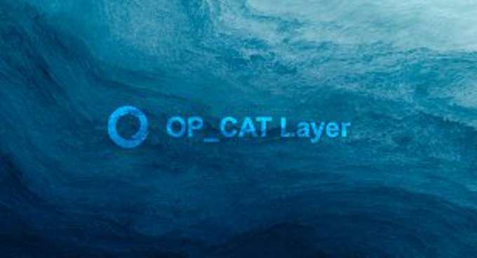 A logo reading 'OP_CAT Layer' with a circular icon, displayed over a background of dark blue ocean waves.
