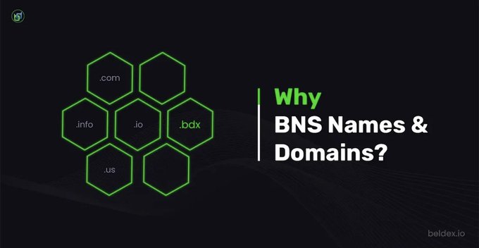 A promotional graphic from beldex.io asking 'Why BNS Names & Domains?' featuring hexagonal icons for .com, .info, .io, .bdx, and .US extensions.