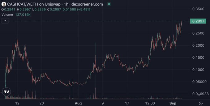 A trading chart from dexscreener.com for the CASHCAT/WETH pair on Uniswap, showing a current price of 0.2997 (+5.49%) and a volume of 127.014K.