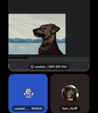 A screenshot of a Discord or chat interface shows a profile named 'swadoki_' with the message 'I NOT DM YOU', alongside other avatars and usernames.