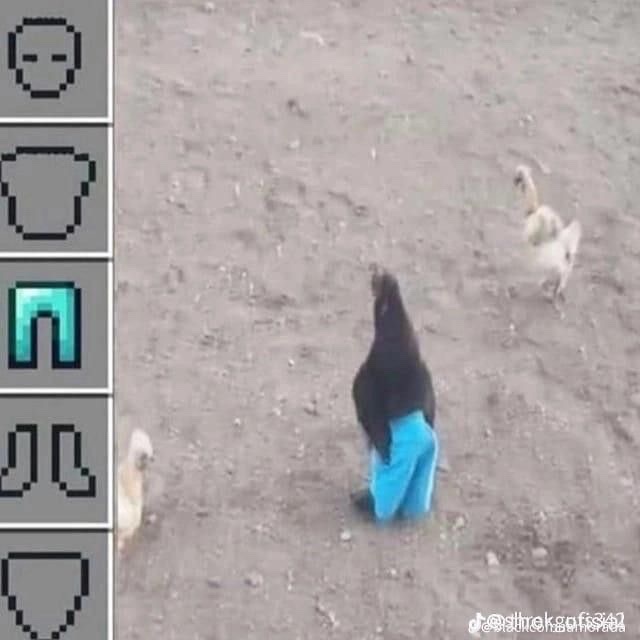 A pixelated game-style image showing a person in blue pants standing among chickens on dirt ground, with a Minecraft inventory bar on the left side displaying various clothing items.