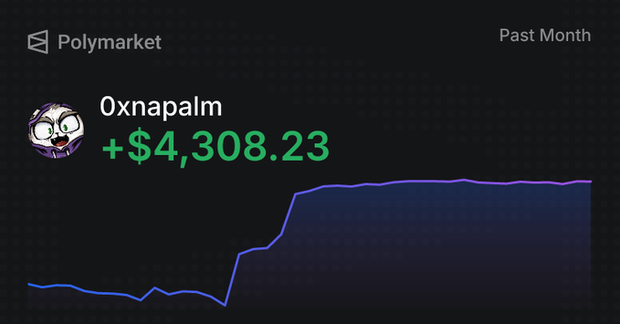 A Polymarket performance chart showing a user named '0xnapalm' with a profit of +$4,308.23 over the past month, displayed with an ascending blue line graph.
