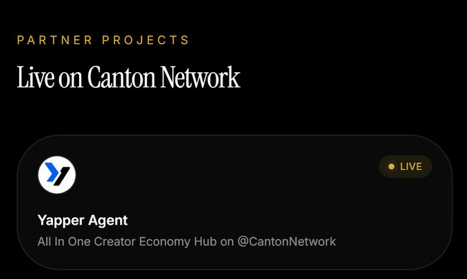 Dark-themed webpage screenshot showing "PARTNER PROJECTS Live on Canton Network" featuring Yapper Agent with a LIVE badge.