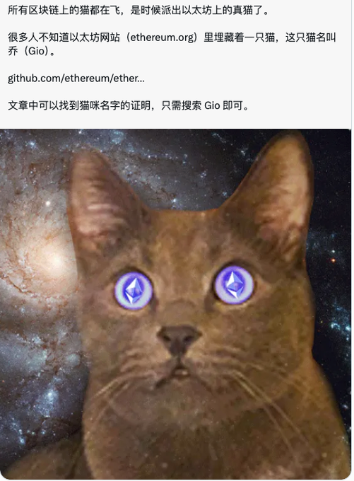 A humorous post featuring a photoshopped cat with glowing Ethereum logo eyes set against a cosmic galaxy background, with Chinese text claiming that the Ethereum website (ethereum.org) secretly harbors a cat named Gio. The post references the ETH contract address "0xc8eb7b92ad3d794a39a9bc83f693e45e0741b366" as an "ambush point" for this hidden feline.