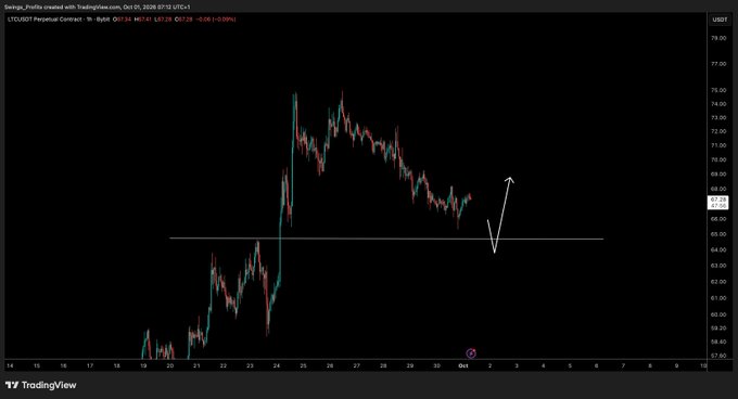 A TradingView chart of LTC/USD on the Perpetual Contract shows the 1-hour price action hovering around $67.51 with a recent -0.08% change, while an annotation arrow marks an anticipated dip toward the $66 support level before a potential bounce for long scalp entries. The drawdown reflects the trader's strategy of waiting for confirmation at lower levels before establishing positions.