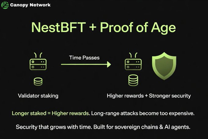 The image shows a comparison between two different types of networks, one being NestBFT and the other being Canopy. The text "NestBFT + Proof of Age" is displayed at the top of the image, indicating that this network has been added as a proof of age to another network. The image also includes a green shield with a yellow arrow pointing towards it, which represents the concept of time passing and how the networks are connected or linked together.