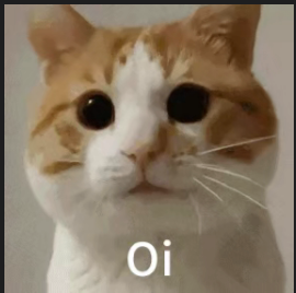 A close-up of an orange and white cat with wide, surprised eyes and the text 'Oi' displayed below its face.