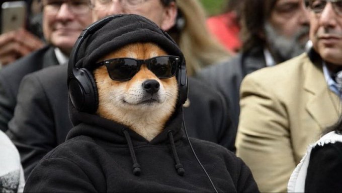 A Shiba Inu dog wearing a black hoodie, sunglasses, and headphones sits among a crowd of people.